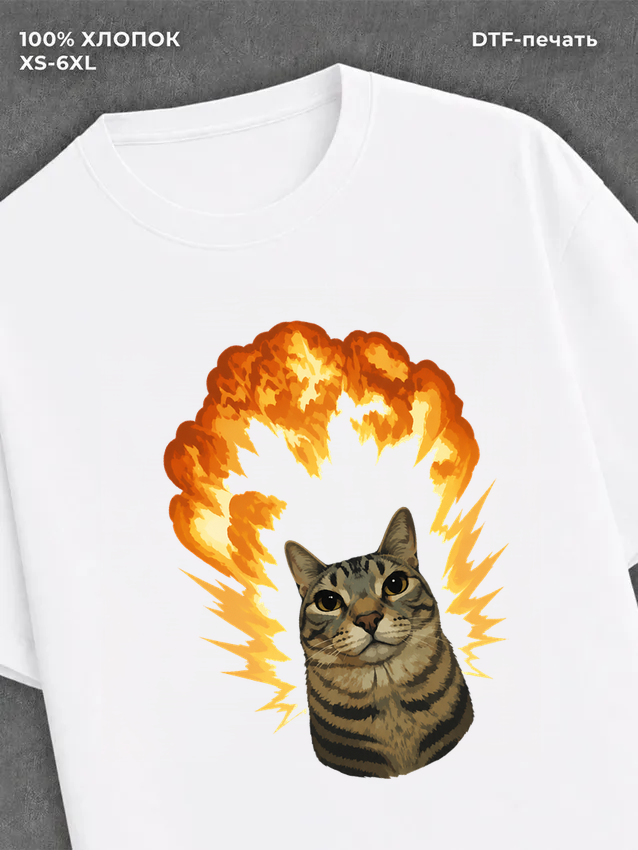 Футболка Мем с котом