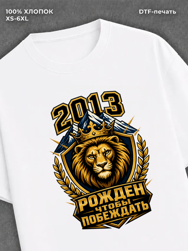 Футболка 2013 год