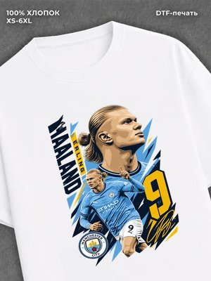 Футболка Холланд