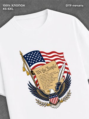 Футболка США конституция