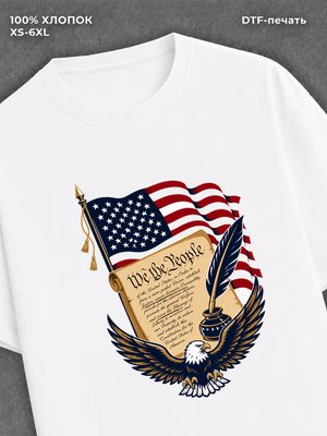 Футболка США конституция